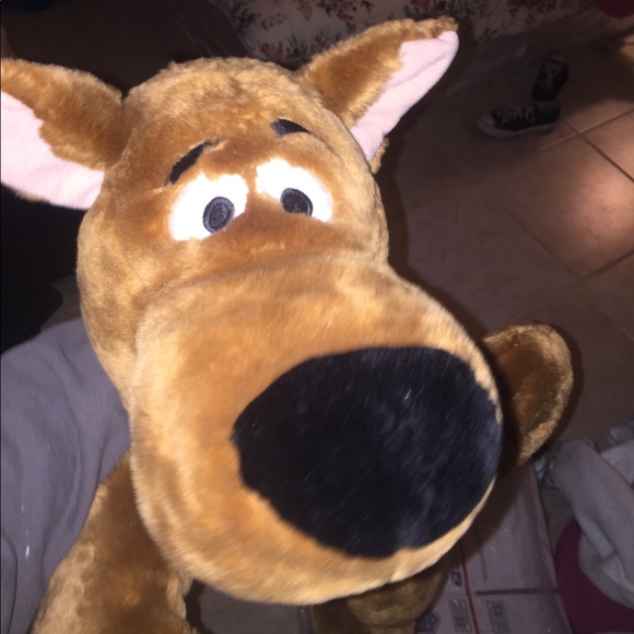 ITS FALL🍁🤗 let’s cuddle with our stuff animals - Picture 1 of 5